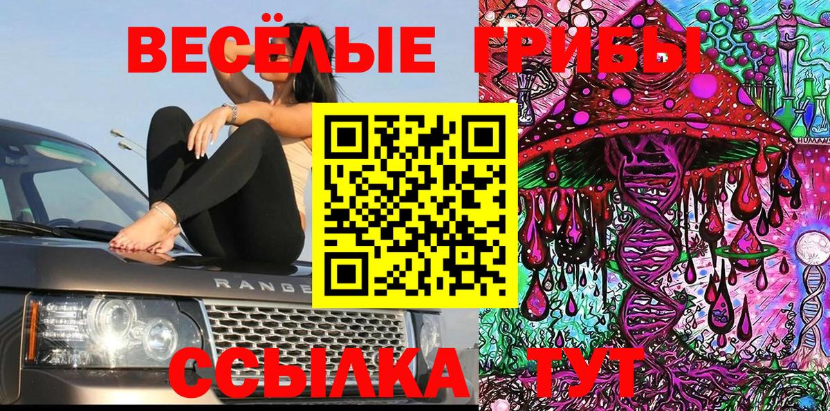 Псилоцибиновые грибы Cubensis  наркотики  Великий Устюг  Вход с VPN 